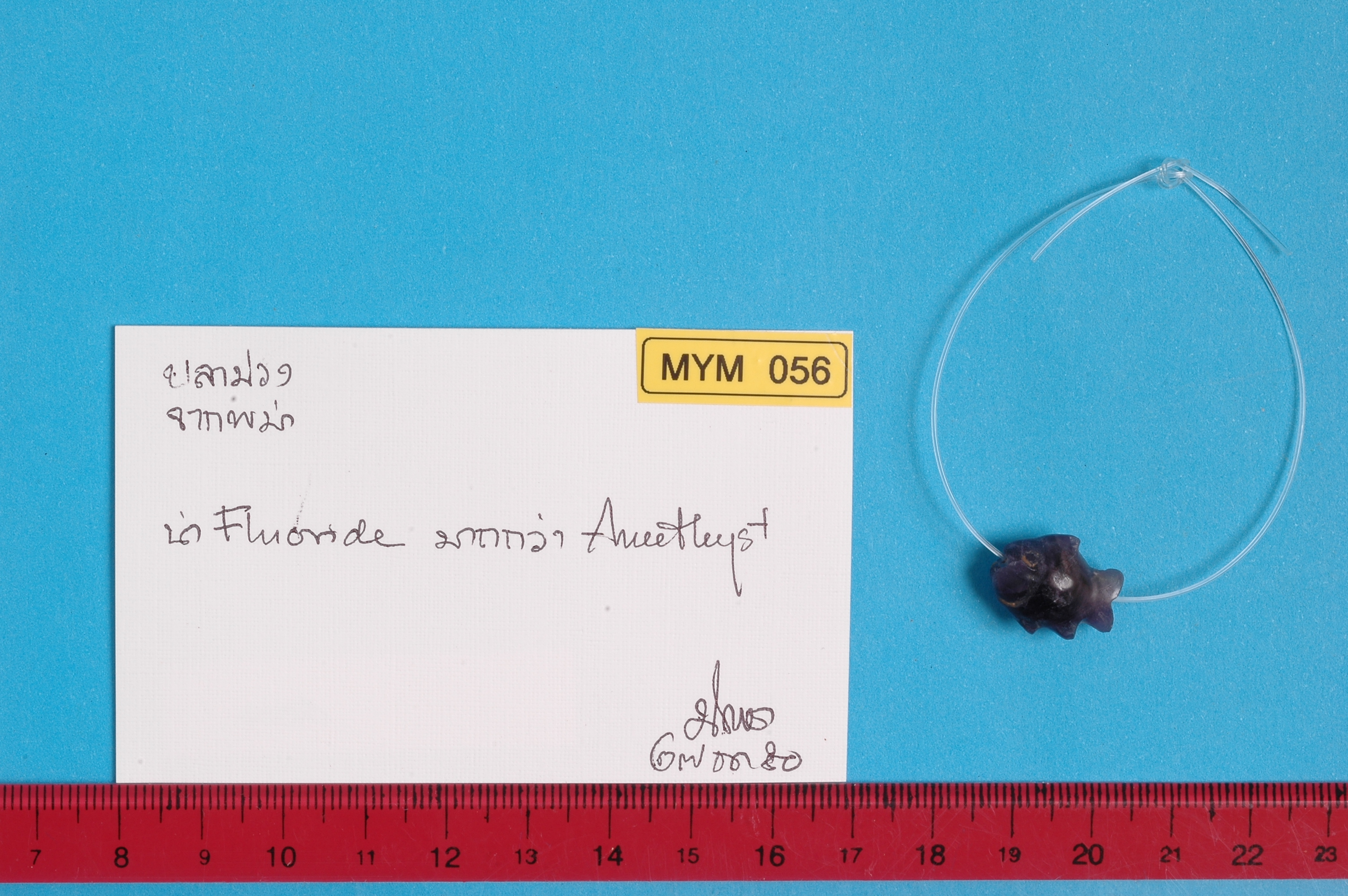 MYM 056.jpg